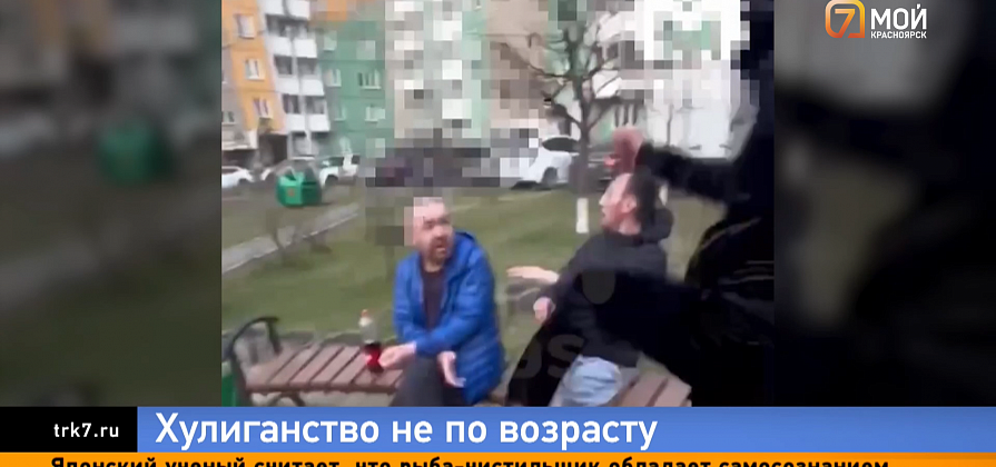 Красноярский подросток жестоко избил мужчину во дворе: восстанавливаем хронологию ЧП