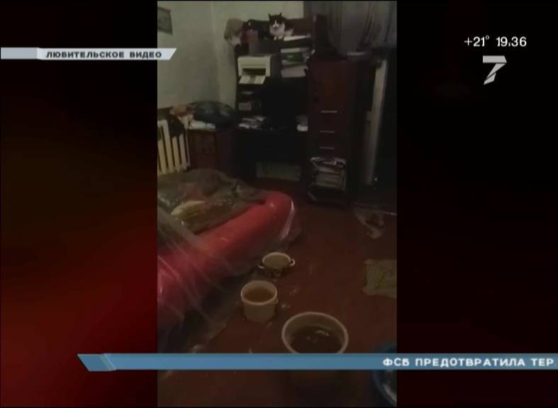 Ночной ливень залил квартиры в доме на Новосибирской