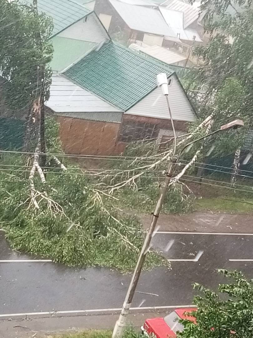 Штормовой ветер с градом в Лесосибирске повалил деревья и помял машины 