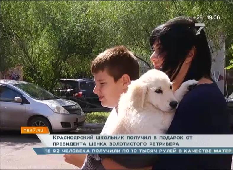 Красноярский школьник получил в подарок от президента щенка золотистого ретривера