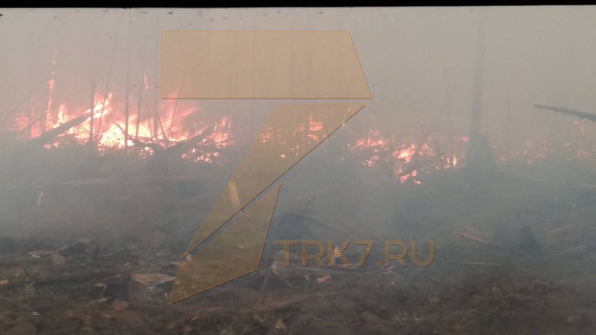 Сотрудники МЧС сняли пожары на месторождении нефти в Эвенкии