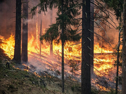 Регионы помогают Красноярскому краю тушить лес. https://pixabay.com/ru/