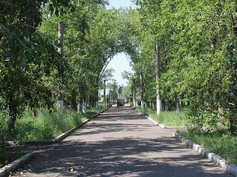 Два крупных городских парка очистят от сухостоя. Текст: администрация Красноярска, фото: admkrsk.ru (архив)