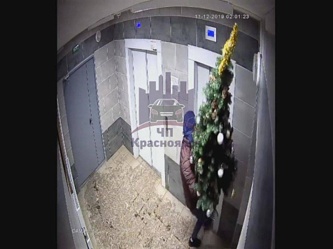 Полиция нашла красноярца, укравшего елку из подъезда					     title=