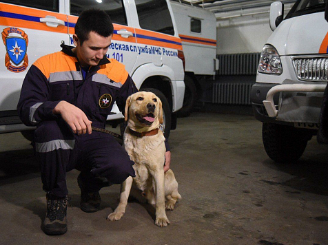 МЧС ищет добровольцев для игры с добрыми служебными собаками и сна. Фото: https://vk.com/mchs24