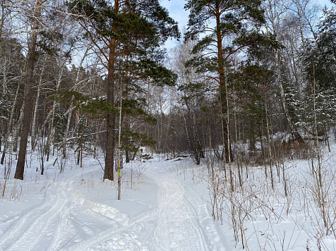 В Красноярске 26 февраля ожидается до -5 градусов мороза . Фото: Александр Рив