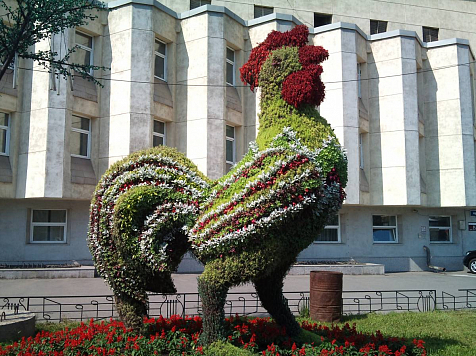 Красноярцы навсегда лишились цветочного петуха. Фото: http://krasvozduh.ru