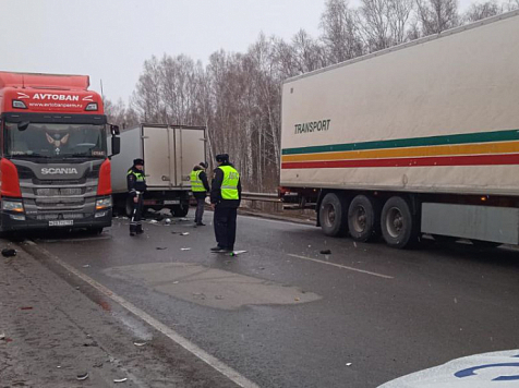 Два человека погибли в ДТП на трассе в Уярском районе. Фото: ГИБДД 24