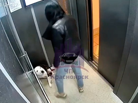 Полиция заинтересовалась видео с издевательствами над собакой в Красноярске   . Скриншот видео: Telegram-канал ЧП 124