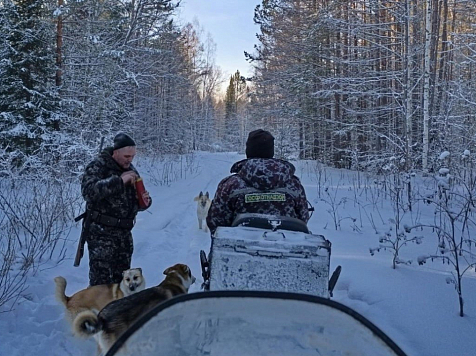 В Ужурском районе три браконьера убили трех косуль на 700 тысяч рублей. Фото: minleskrsk