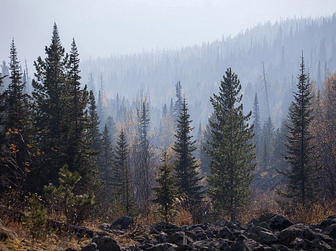 На Красноярск надвигаются сильные ливни. Фото: Сергей Токарев