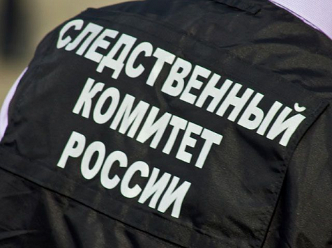 СМИ сообщили о задержании главы регионального управления Росприроднадзора. Фото: sledcom.ru