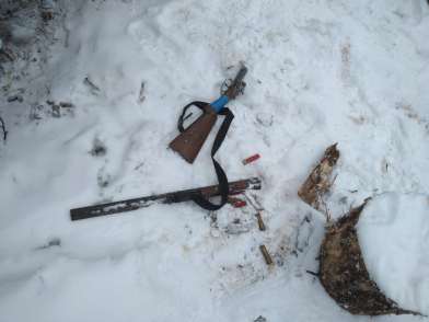 В Красноярском крае браконьеры убили двух косуль. Фото: 24мвд.ру