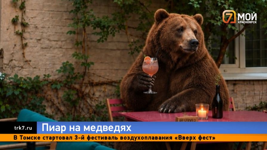 Медведь на эпиляции и с бокалом игристого — красноярский бизнес ловит хайп на нашествии косолапых