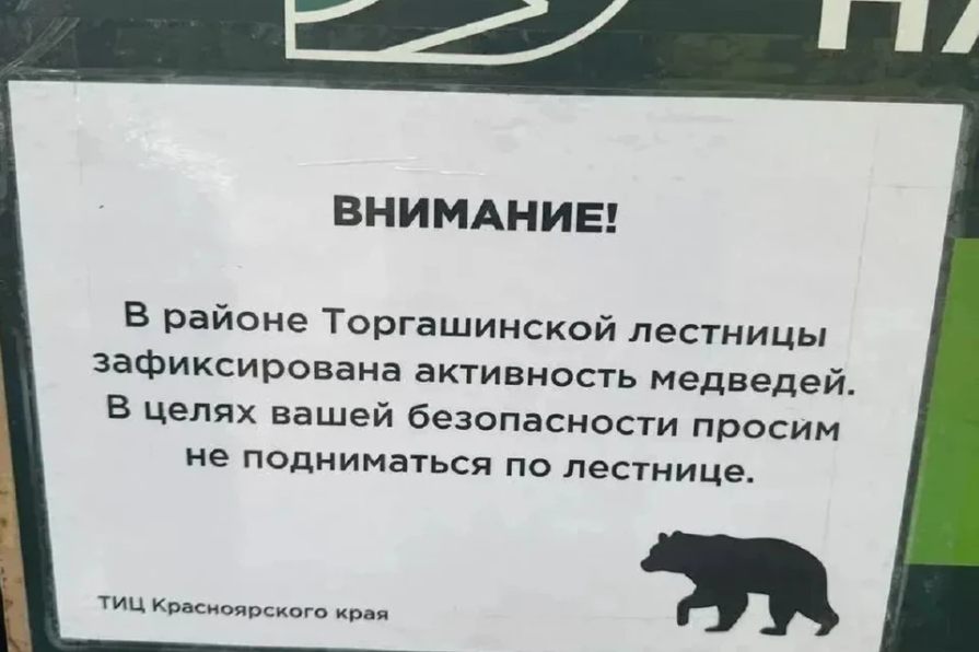 В Красноярске закрыли Торгашинскую лестницу из-за угрозы нападения медведей