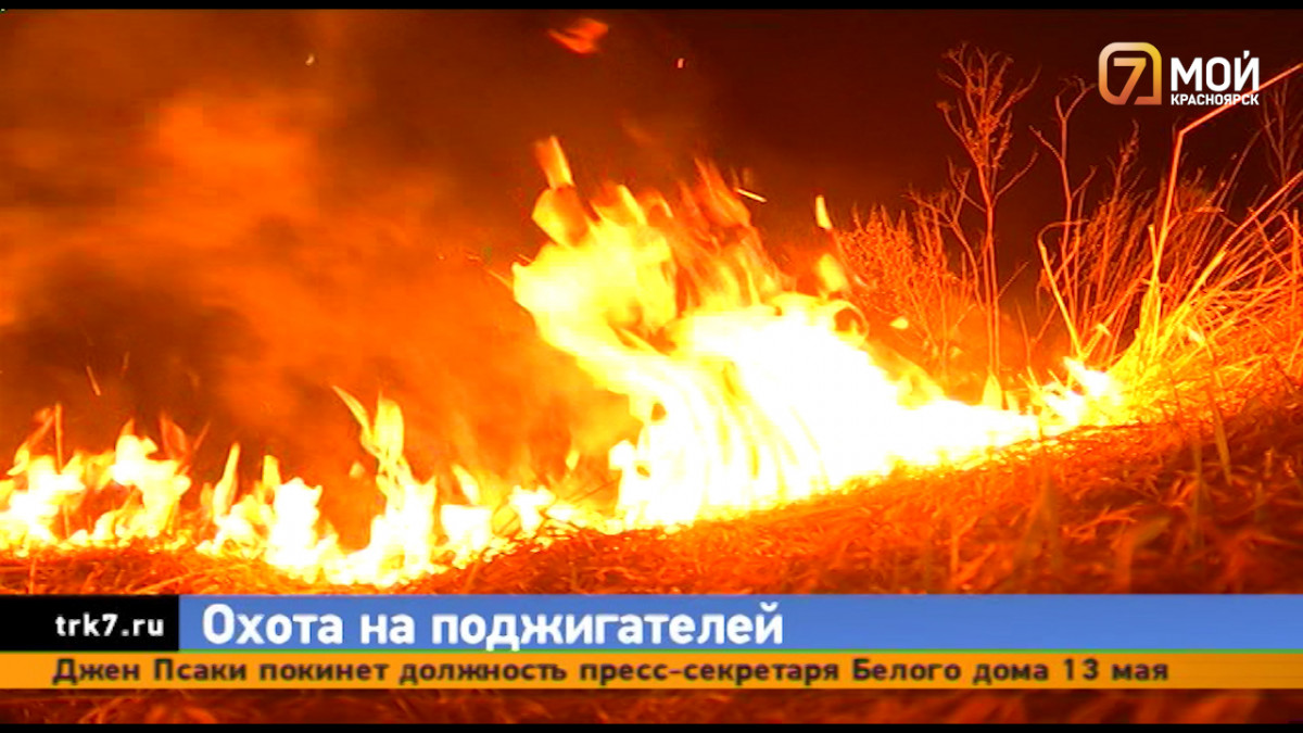 Под Красноярском кто-то несколько дней подряд поджигает траву в лесу