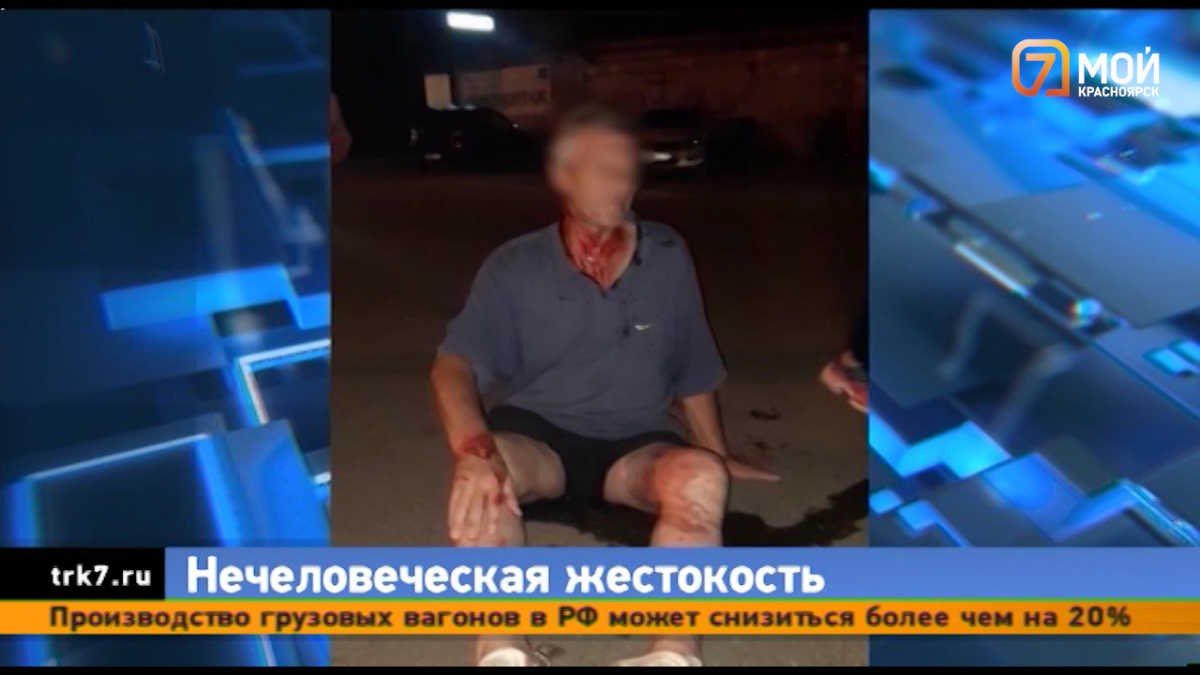 Зверское убийство: в Красноярске мужчина забил до смерти йоркширского терьера