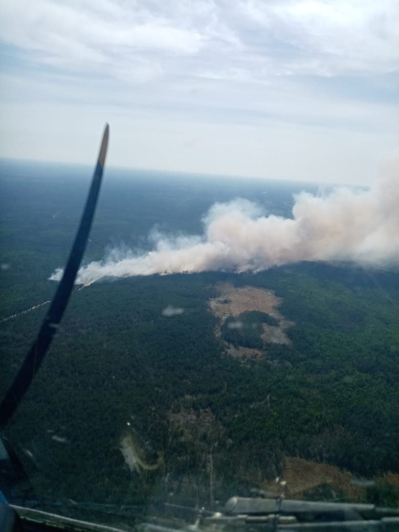 В Красноярском крае действуют пять лесных пожаров