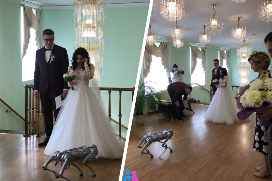 В Норильске на церемонии бракосочетания кольца вручил робот-собака