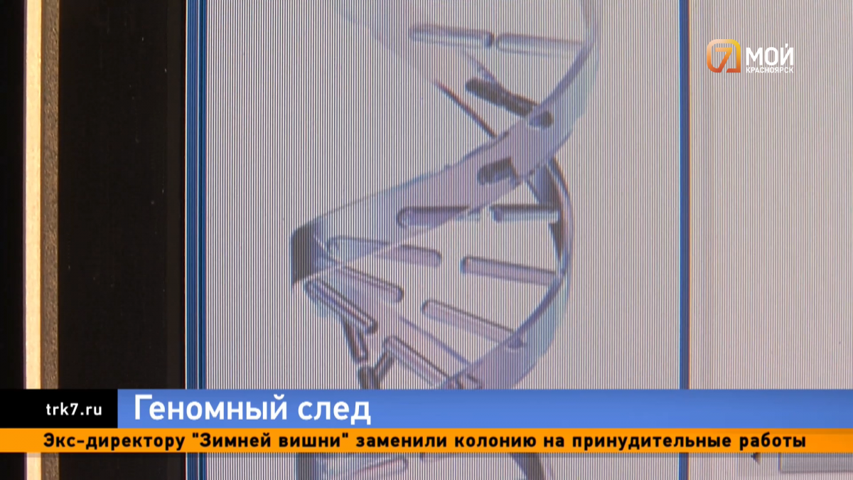 Как при помощи ДНК и без машины времени раскрывают преступления  двадцатилетней давности — Новости Красноярска на 7 канале