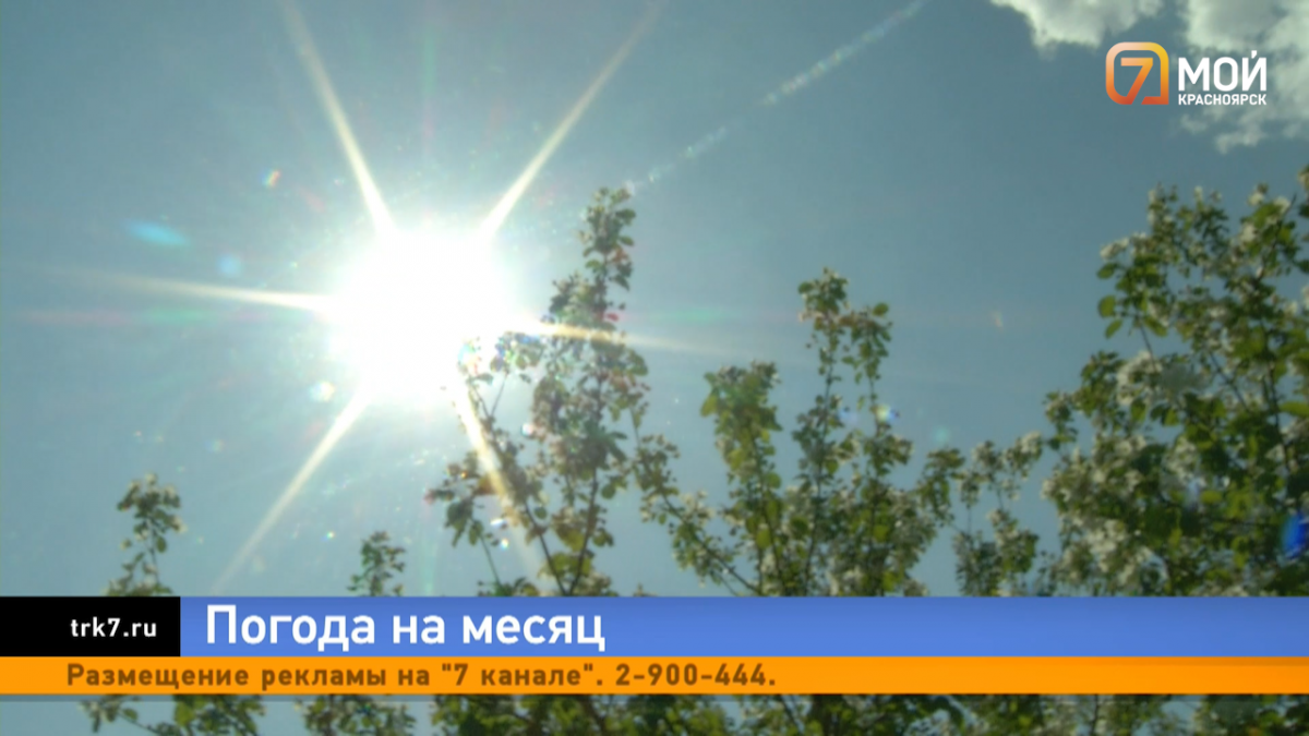 Синоптики рассказали, что июнь в Красноярске будет жарким 