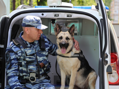 Первую служебную собаку привезли в Красноярск из Риги 111 лет назад . Фото: 24мвд.ру