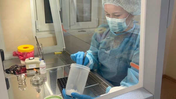 Погодные качели не повлияли на активность красноярских клещей