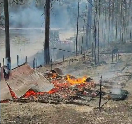 Под Красноярском от лесных пожаров пострадал экопарк