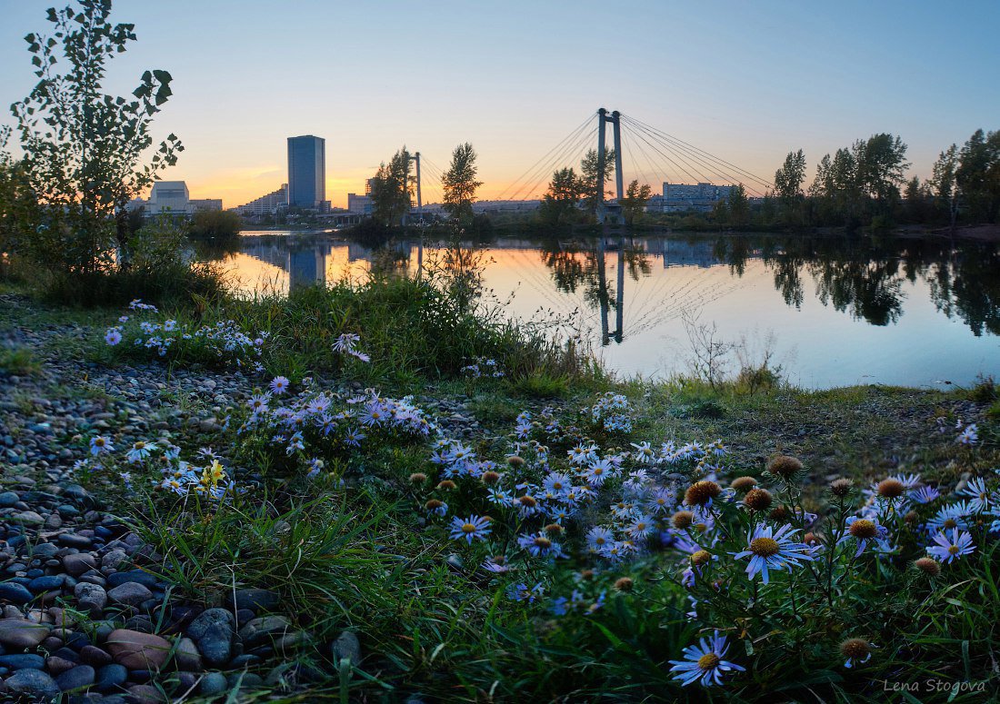 Остров татышев фото