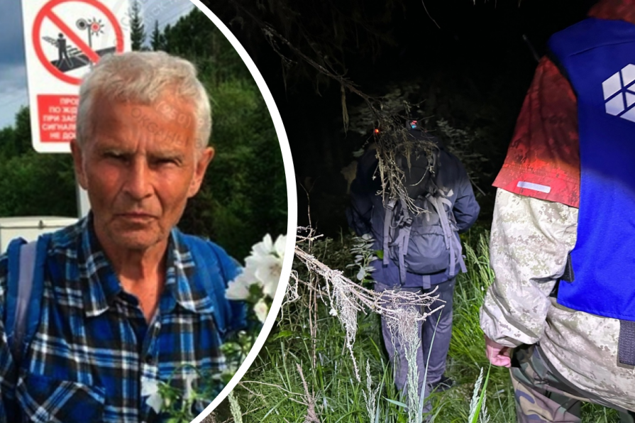 В лесах Емельяновского района третий день ищут 78-летнего дедушку