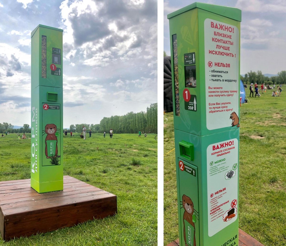 Автомат с кормом для сусликов заработал на острове Татышев в Красноярске