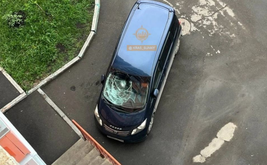 В Красноярске огромный кот выпал из окна и разбил лобовое стекло «Хонды»