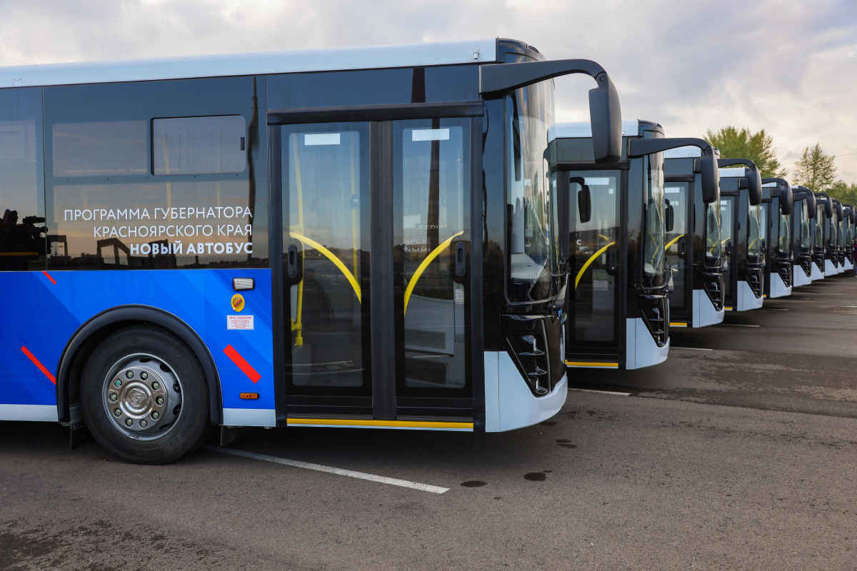 Красноярцы снова смогут расплачиваться в автобусах через мобильное приложение 