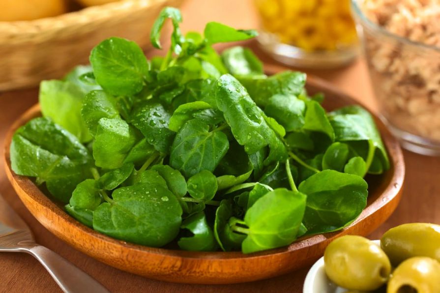 Красноярские специалисты назвали лучшие заправки для здоровых салатов