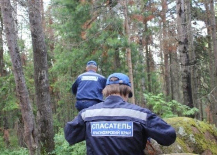 В Красноярском крае в лесу заблудился мужчина и 6-летний ребенок