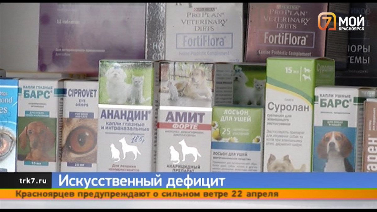 В ветеринарных клиниках Красноярска отрицают дефицит препаратов и вакцин