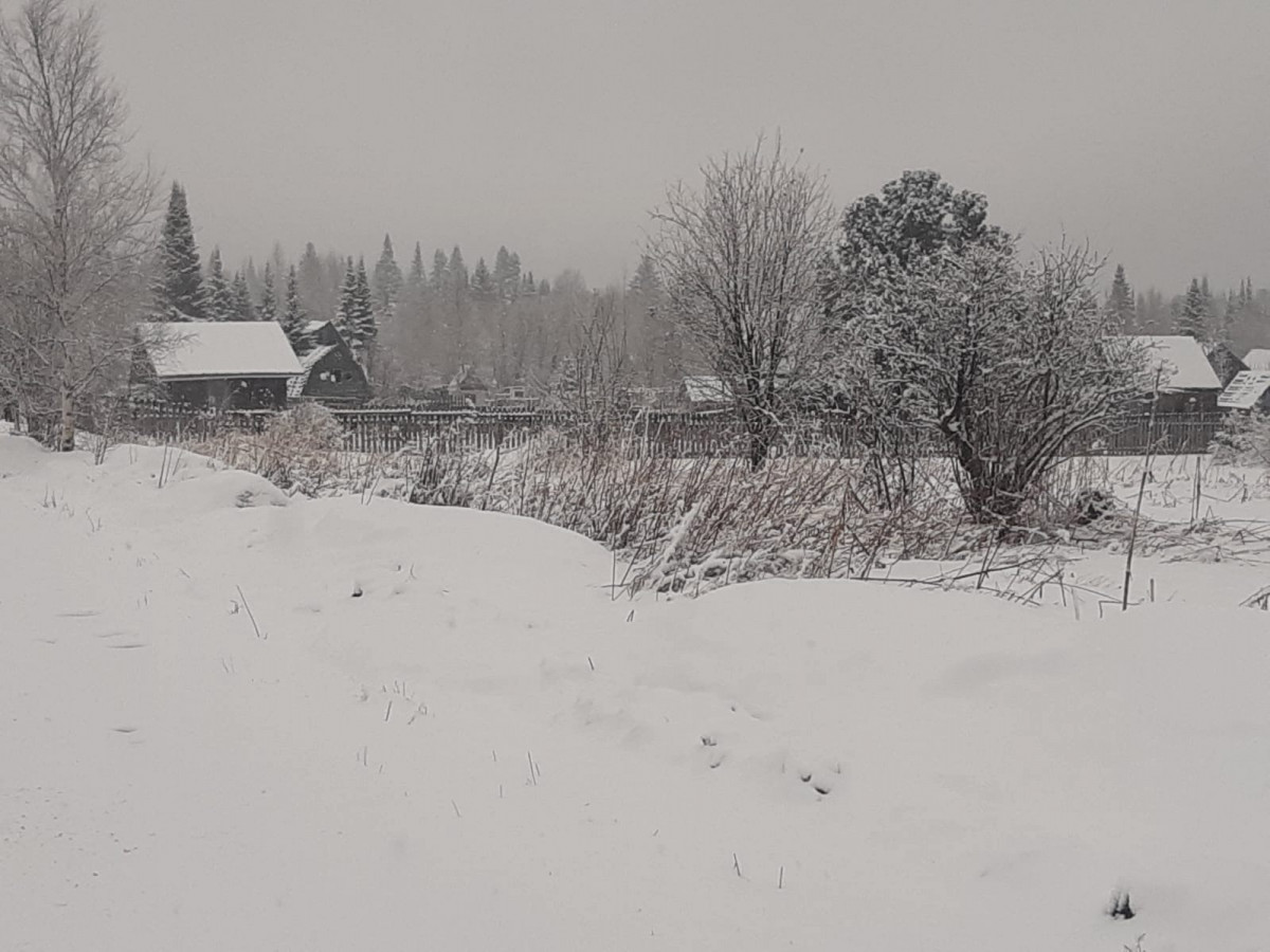 Дачи под Дивногорском завалило снегом