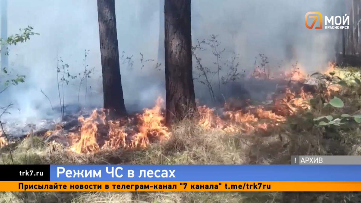 Из-за аномальной жары в Красноярском крае ввели режим чрезвычайной ситуации