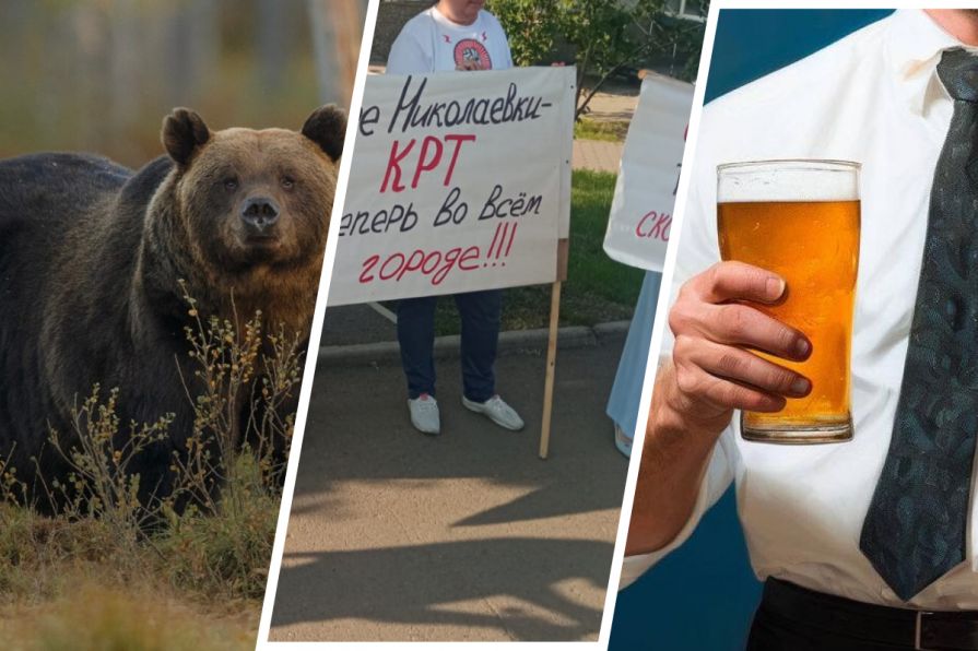  Медвежье нашествие, КРТ, затраты «Русгидро» и запрет «наливаек»: самые читаемые новости Красноярска 