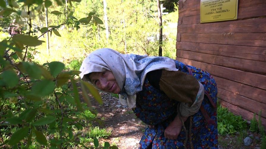 Отшельница Агафья Лыкова едва не стала жертвою нападения медведя