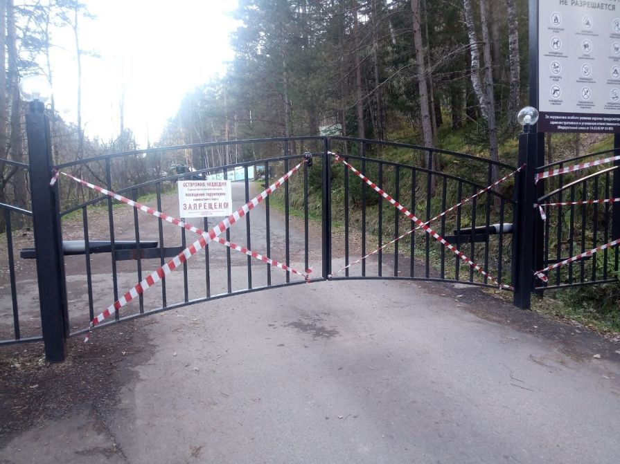 Запрет на посещение Красноярских Столбов из-за медведей продлили до ноября