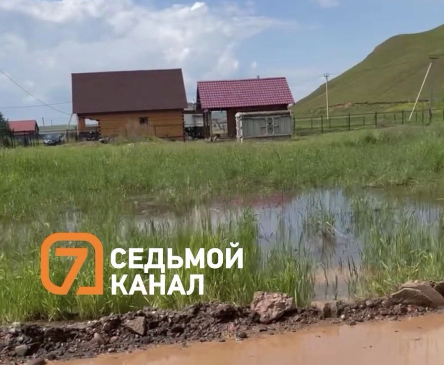 В Красноярске 68-летний пенсионер застрелил соседского той-терьера из-за громкого лая