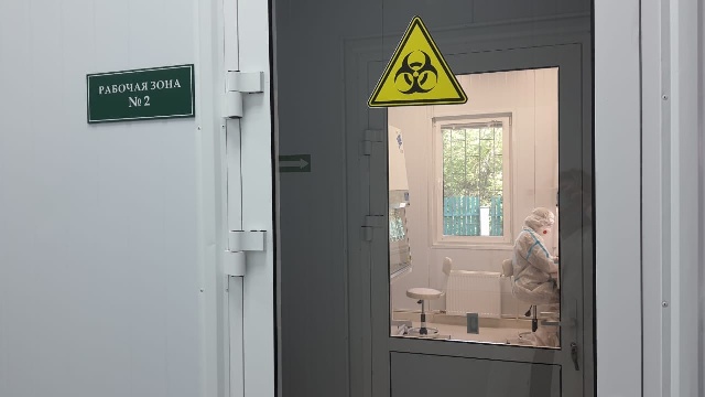 В Минусинске открылась новая ПЦР-лаборатория для исследований вирусов