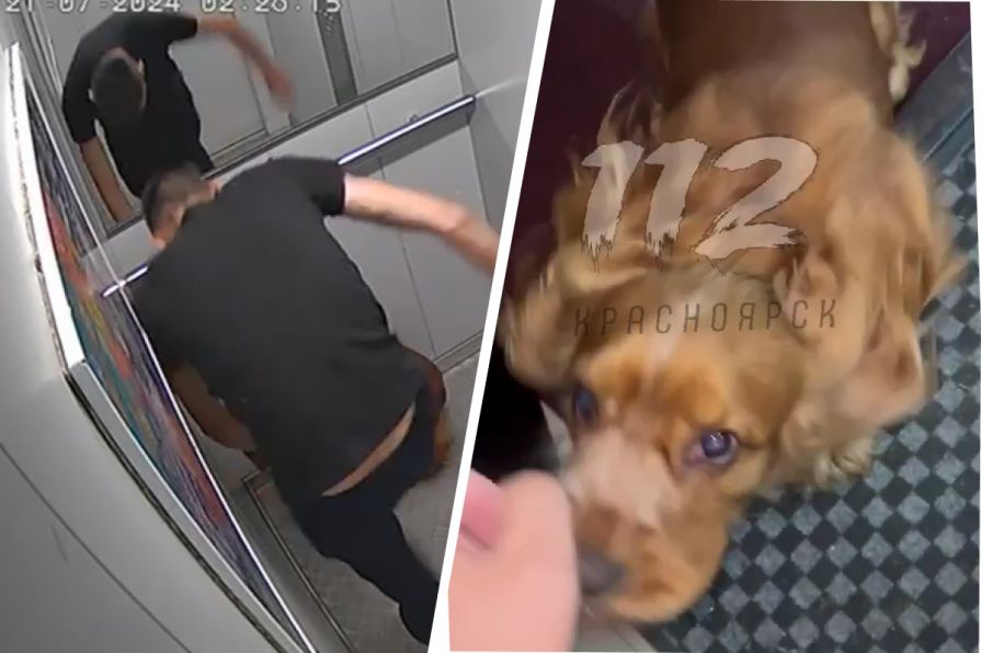 В Красноярске волонтеры взяли штурмом квартиру живодера, жестоко избивавшего собаку