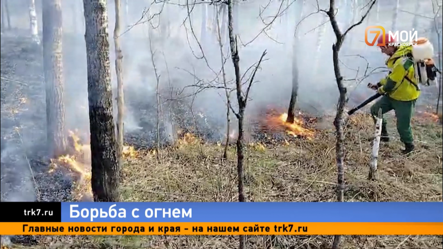 В Красноярск приехал вице-премьер правительства Патрушев и оценил подготовку к пожароопасному сезону