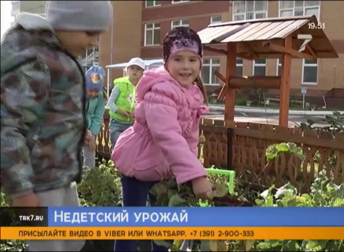 В красноярских детских садах начался сбор урожая