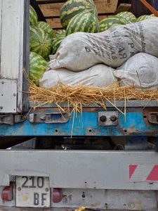 Красноярск лишился 42 тонн арбузов из-за соломенной подстилки