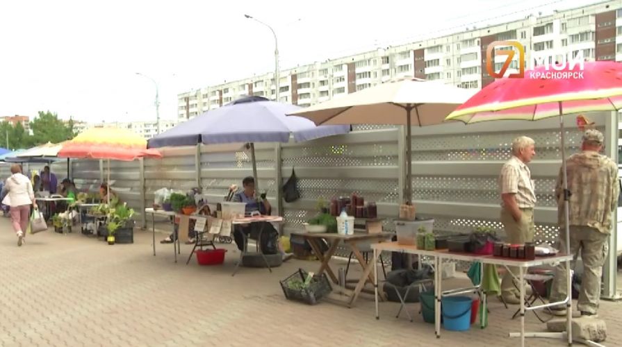 В Красноярске за железным забором  скрыли нелегальную торговлю у ТЦ на 9 Мая