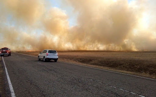 В Красноярском крае ликвидировали 10 лесных пожаров