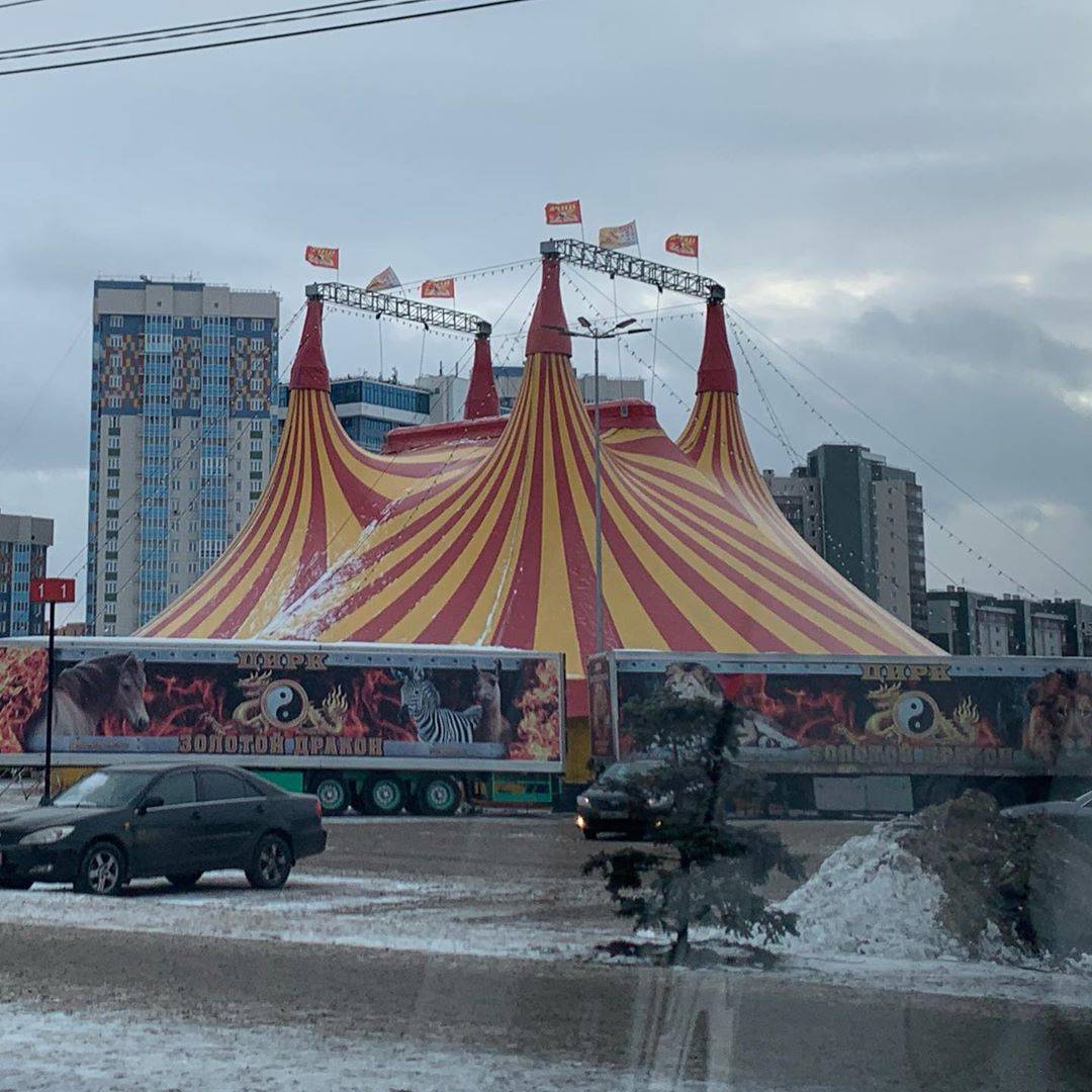 Красноярцы возмущены приездом в город цирка-шапито — Новости Красноярска на  7 канале